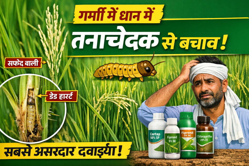 51f71305-b2d2-4439-99bc-75bcc3eda772